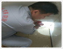 1531111617272563.png image020.png