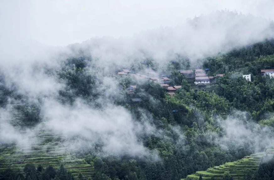 1531976644324976.jpg 360截圖20180719130149561.jpg