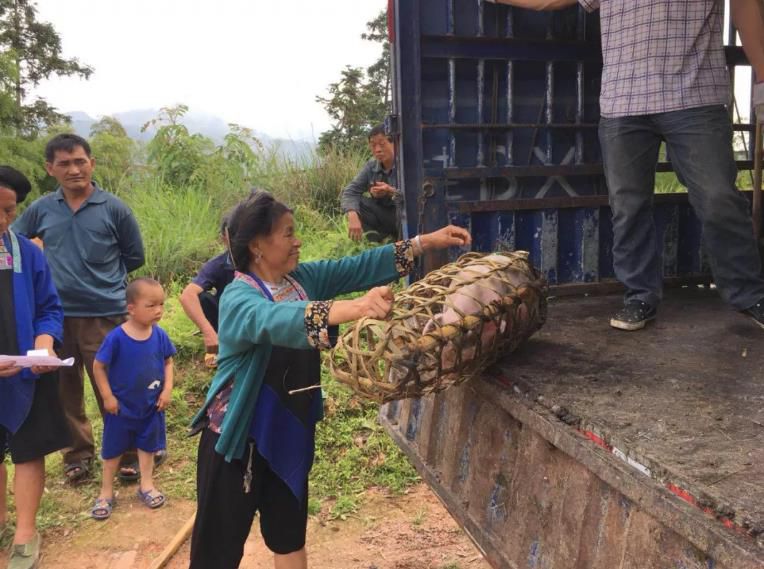 1531976659127244.jpg 360截圖20180719130227640.jpg