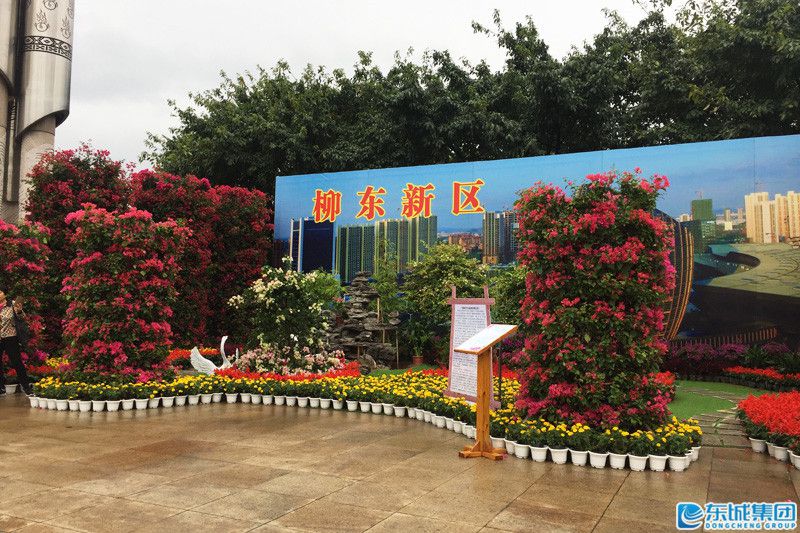 1540996394130687.jpg 6.jpg