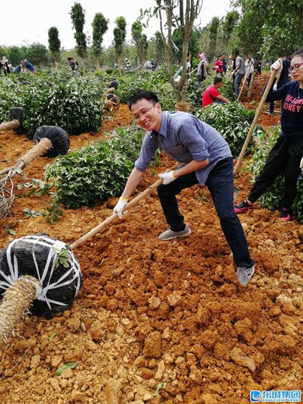 1542265632533981.jpg image010.jpg