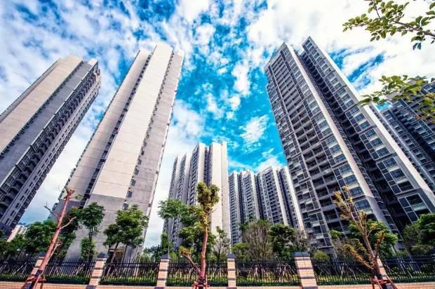 1545895913530926.jpg 360截圖20181227152906230.jpg