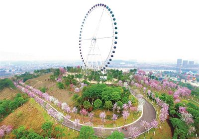 1548306593111568.jpg res01_attpic_brief.jpg