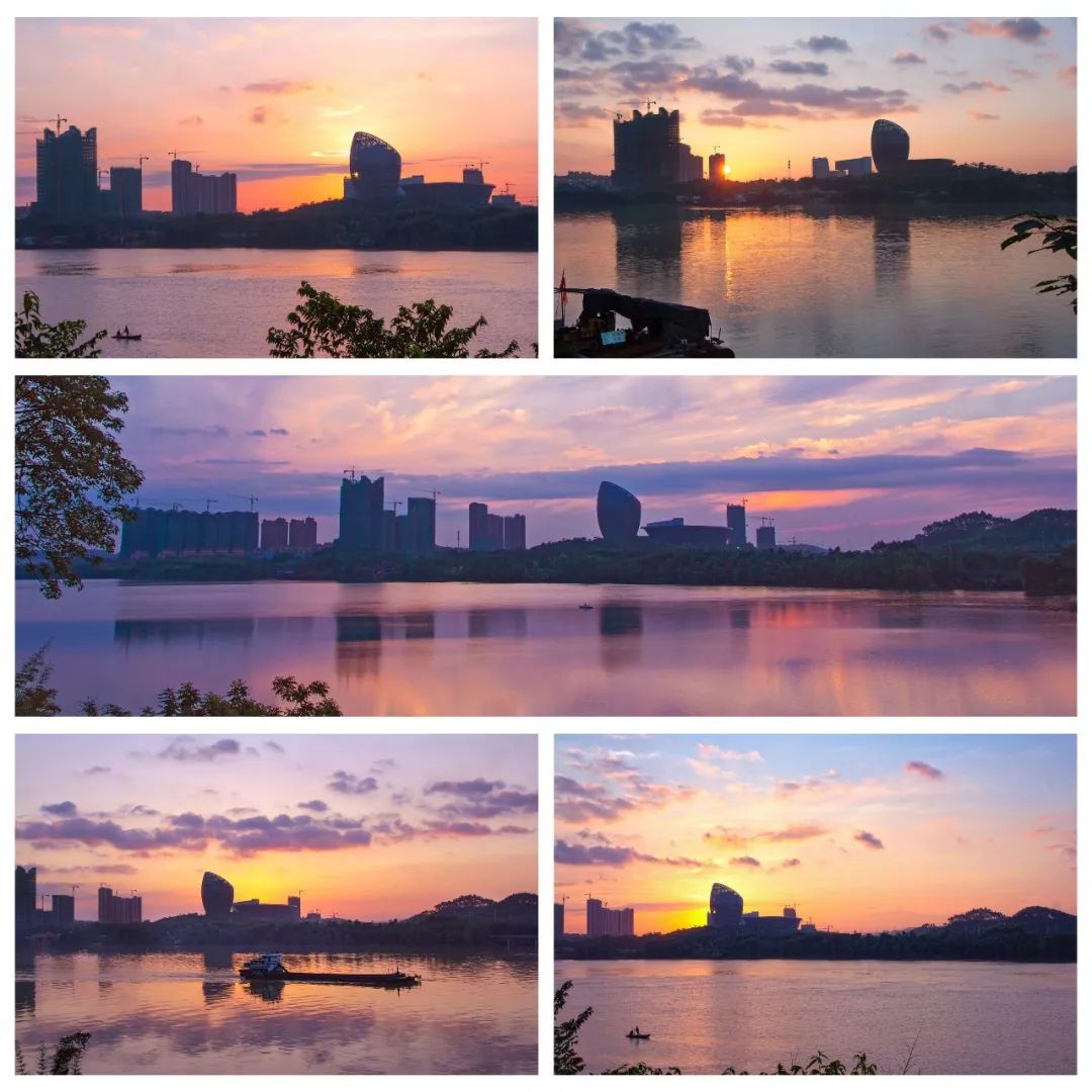 1548945780654513.jpg 640.webp.jpg