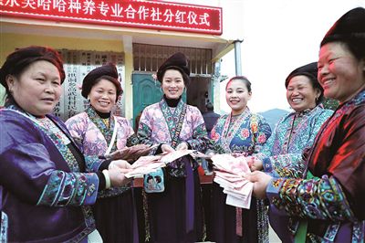 1553698246411771.jpg res02_attpic_brief.jpg