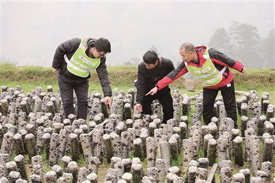 1553698254104231.jpg res04_attpic_brief.jpg