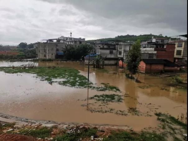 1557675211132520.jpg 微信圖片_20190512233337.jpg