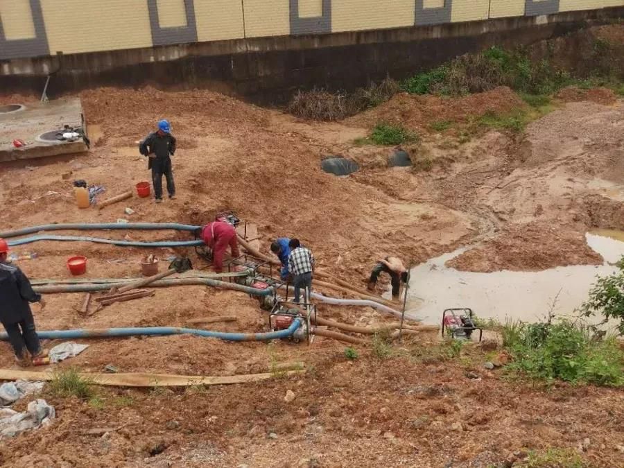 1557675226123858.jpg 1557675226123858.jpg