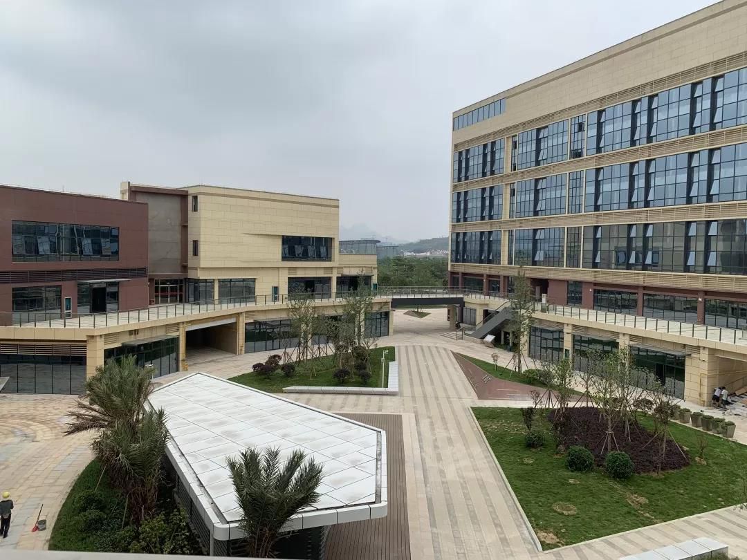 1560226476139780.jpg 1560226476139780.jpg