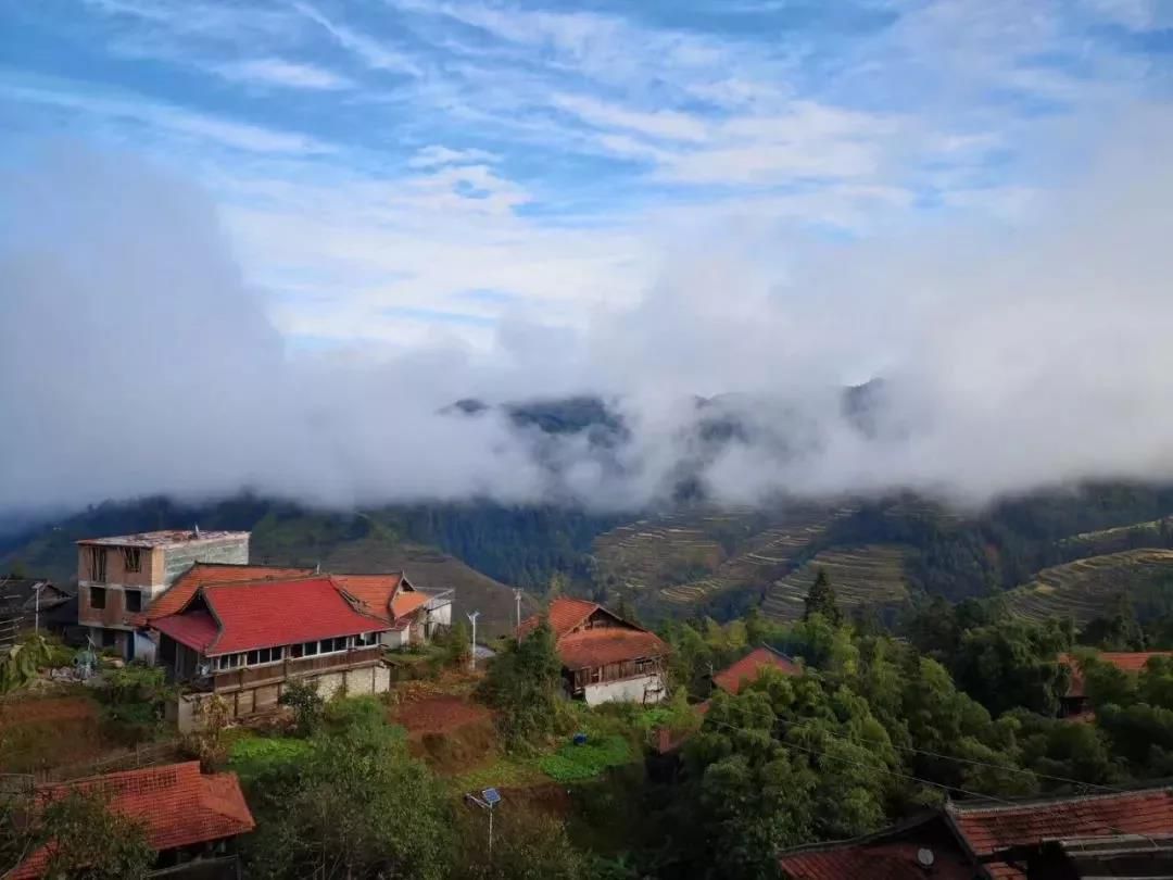 1561801150135403.jpg 微信圖片_20190629173444.jpg