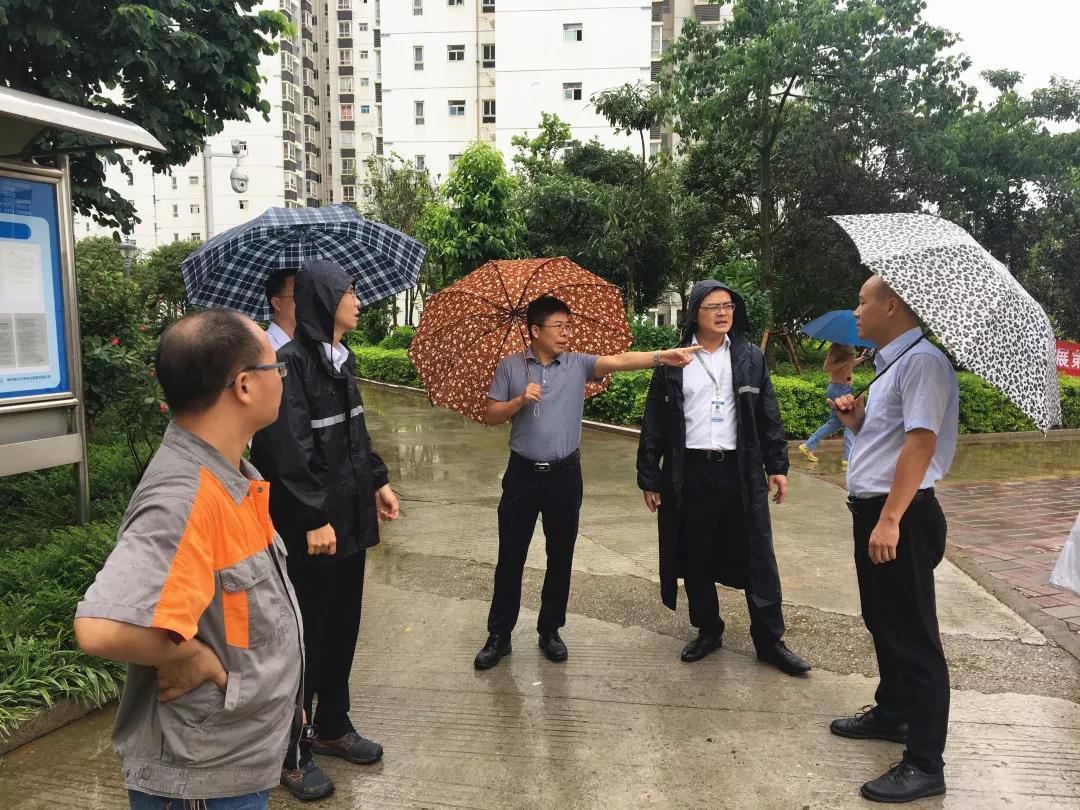 1562771310238783.jpg 1562771310238783.jpg