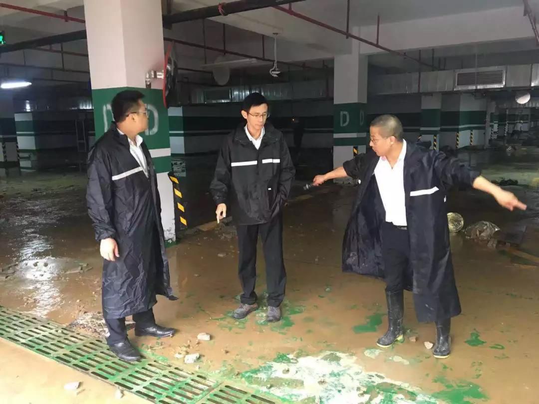 1562771354303244.jpg 1562771354303244.jpg