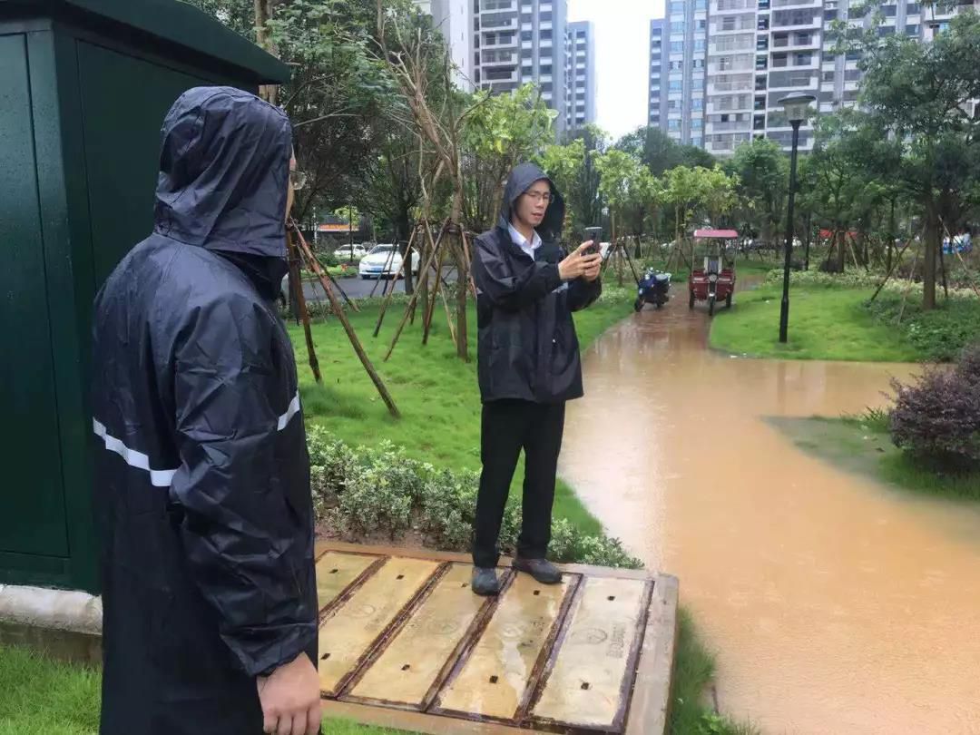 1562771453173202.jpg 1562771453173202.jpg