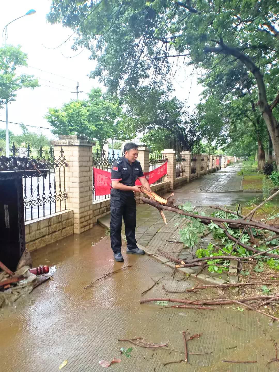 1562771539794538.jpg 1562771539794538.jpg