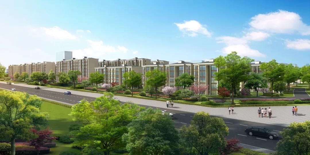 1563420860125915.jpg 1563420860125915.jpg