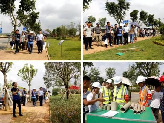 1564618981125170.jpg 360截圖20190801081950932.jpg