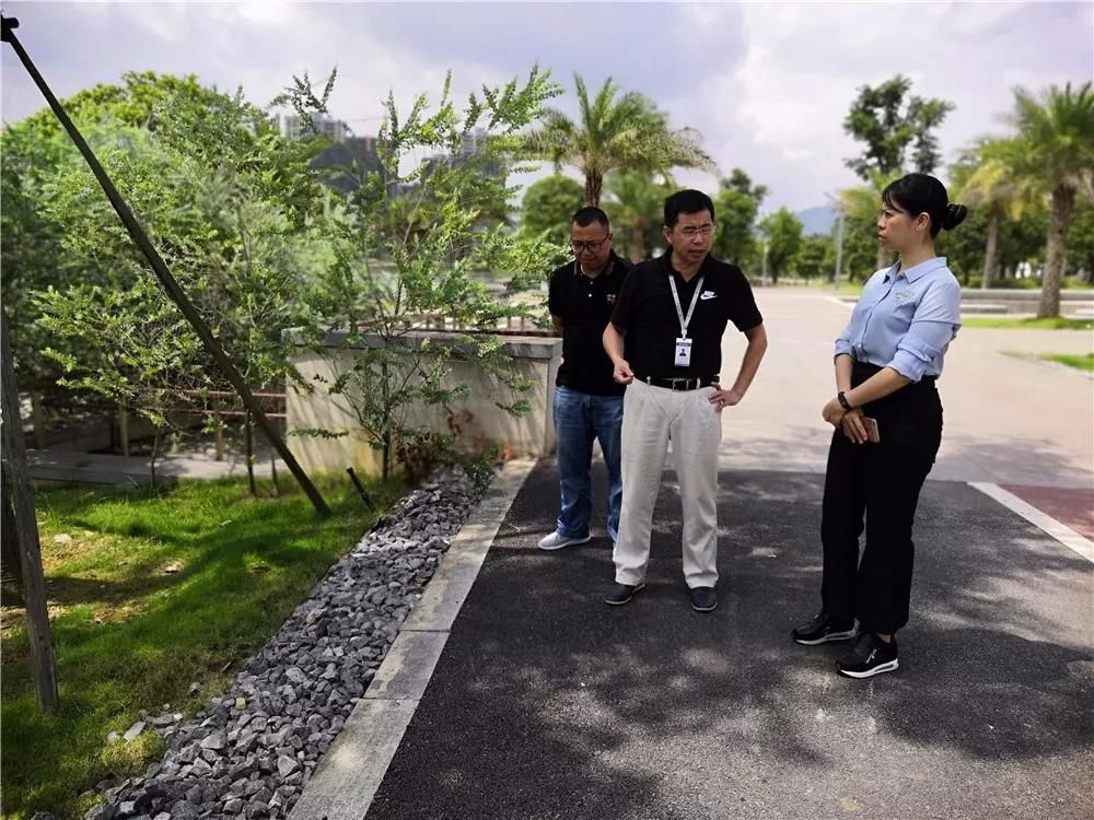 1566646432824531.jpg 1566646432824531.jpg