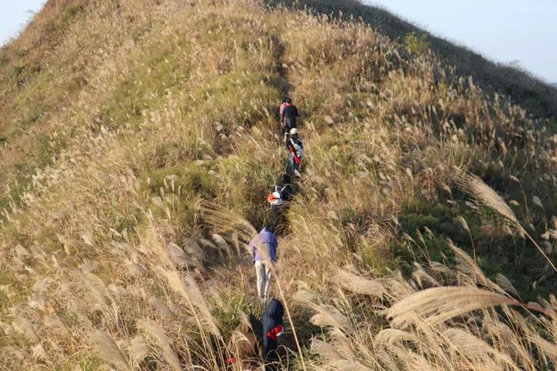 1576415747408027.jpg 20191215210712.jpg