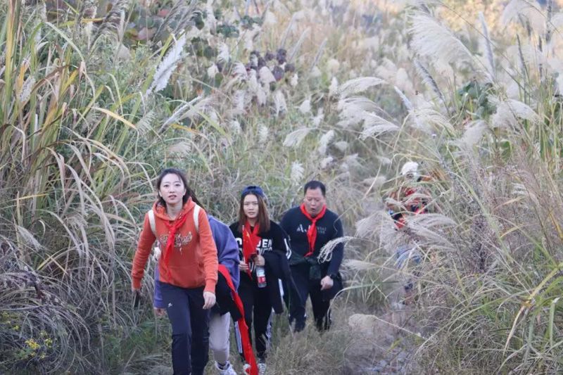 1576415760204788.jpg 20191215210717.jpg