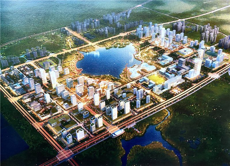 1577282939949281.jpg 12.jpg