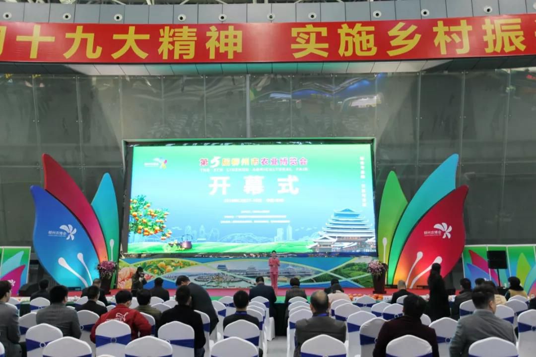 1577627314990290.jpg 20191229214646.jpg