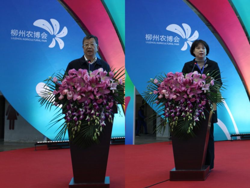 1586447183389781.jpg 1586447183389781.jpg