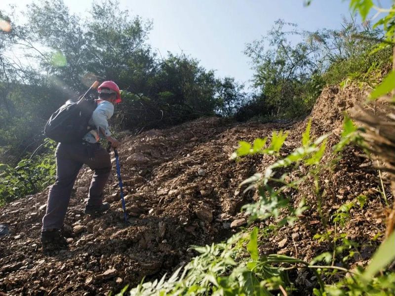 1587027999722804.jpg 20200416170643.jpg