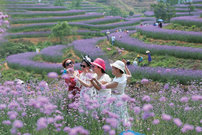 1589465439716780.jpg 234525345.jpg