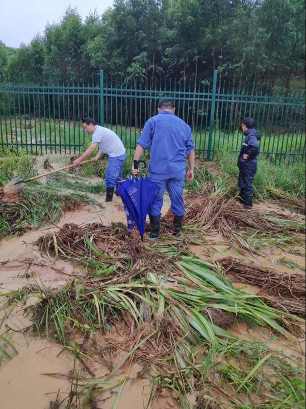 1592139137298167.jpg 20200614204835.jpg