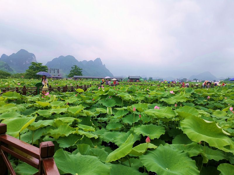 1593570606122300.jpg image005.jpg