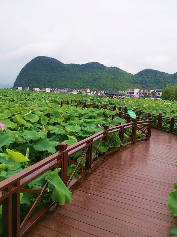 1593570614141273.jpg image009.jpg