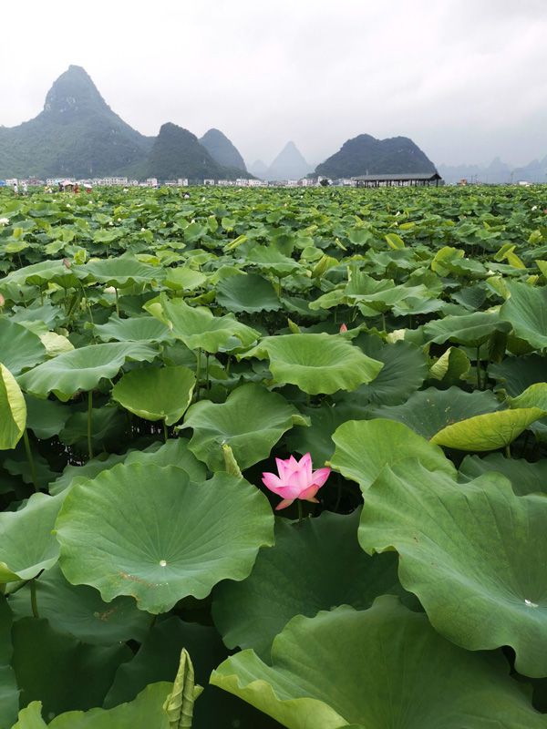 1593570619111749.jpg image011.jpg