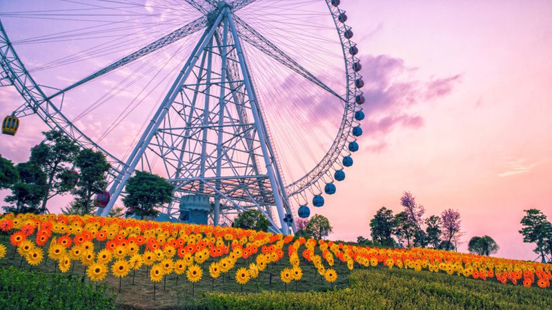 1593771176571074.jpg image005.jpg