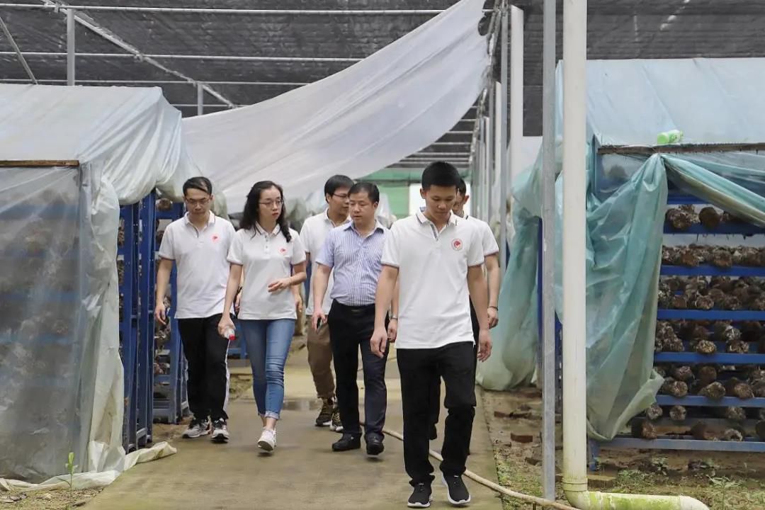 1594300636589105.jpg 2.jpg