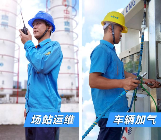 1595169270671769.jpg 55.jpg