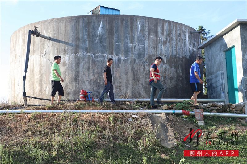 1597370273109085.jpg 2.jpg