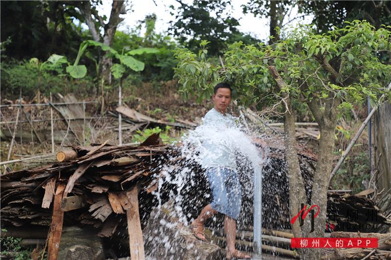 1597370313676717.jpg 7.jpg