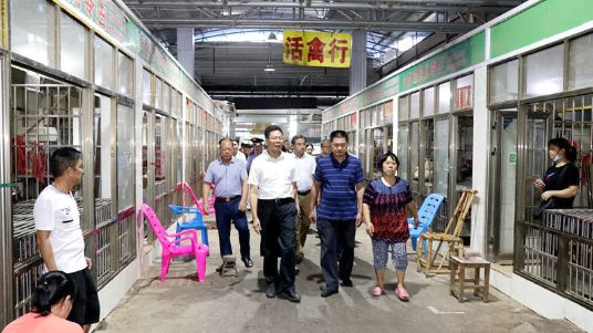 1600614090277468.jpg 51_1.jpg