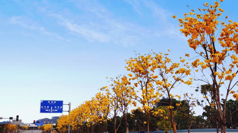 1615968850770957.jpg 柳東新區(qū)龍湖路.jpg