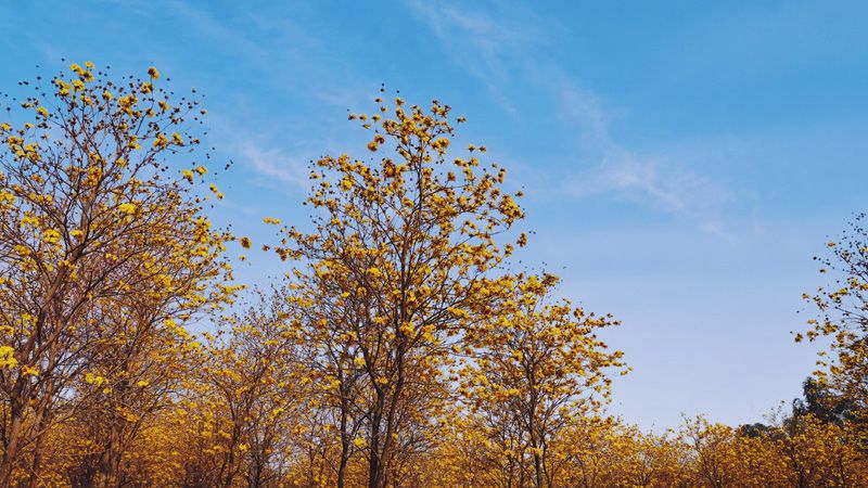1615968891804220.jpg 柳東新區(qū)雒容鎮(zhèn)南慶村水悶屯2.jpg