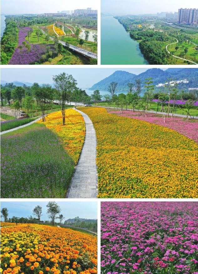 1621348563114649.jpg 22.jpg