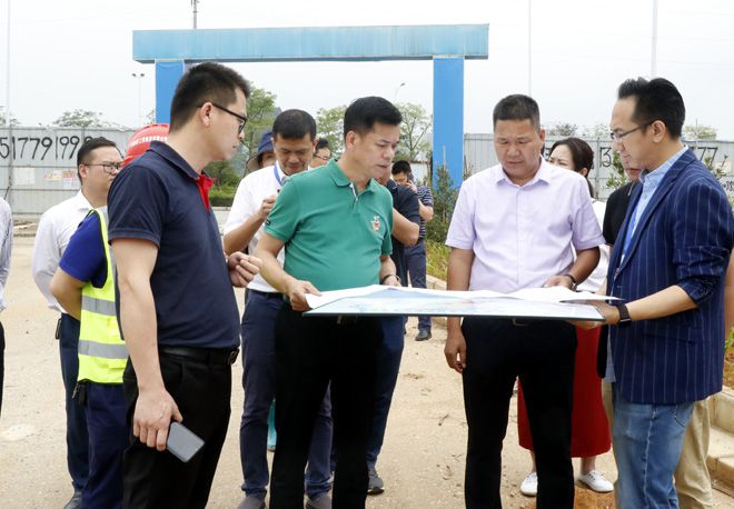 1623858198959479.jpg 24.jpg