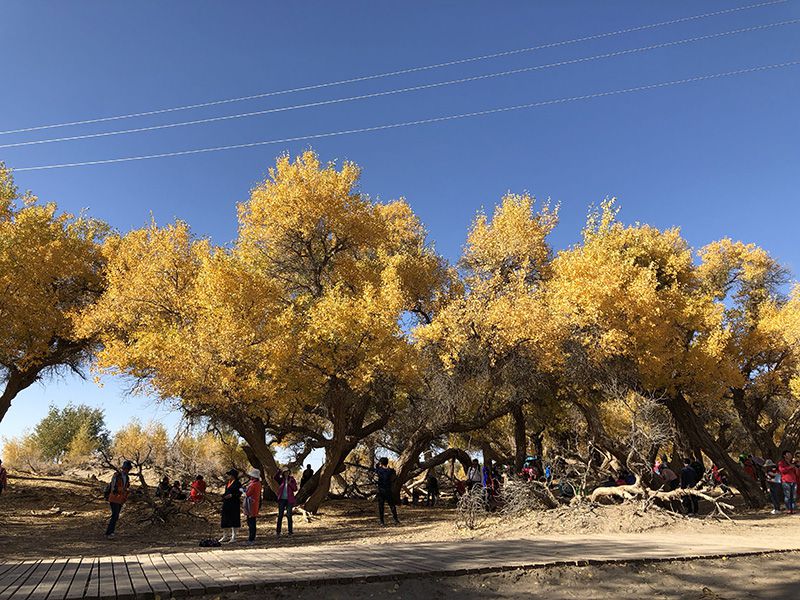 1631185395215503.jpg PHOTO_20210809_150938766.jpg