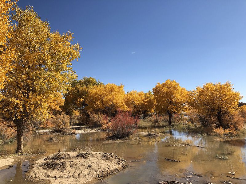 1631185404121741.jpg PHOTO_20210809_150938952.jpg