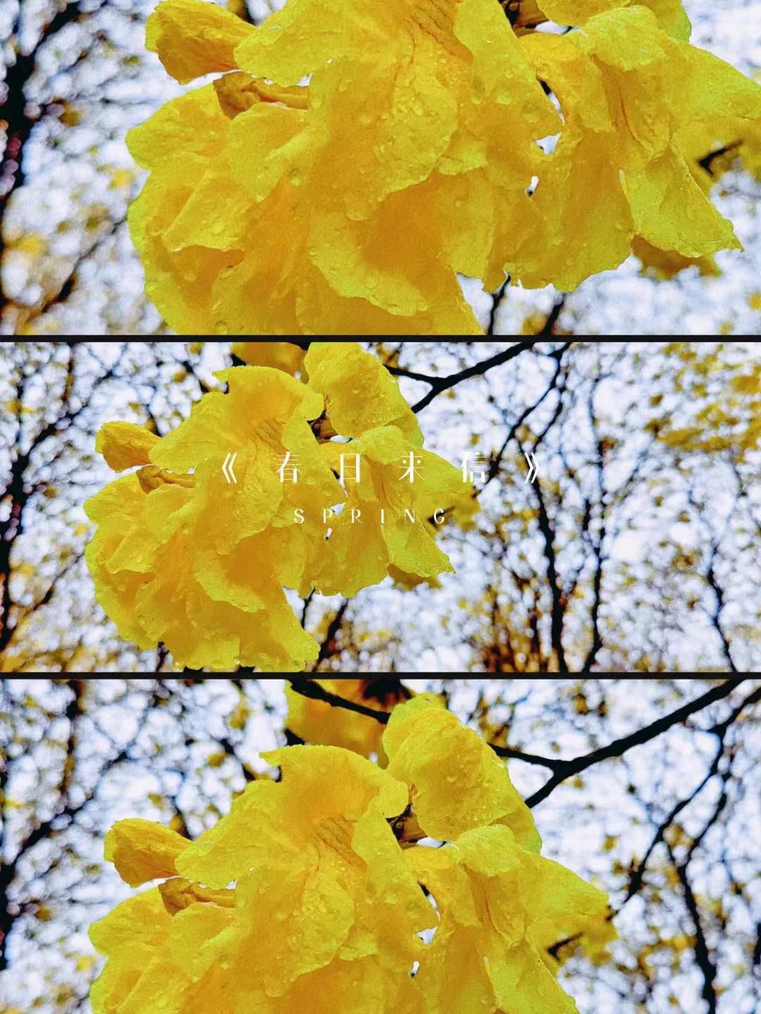 1650526937225916.jpg 1650526937225916.jpg