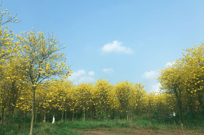 1650527094840152.jpg 微信圖片_20220319135835.jpg