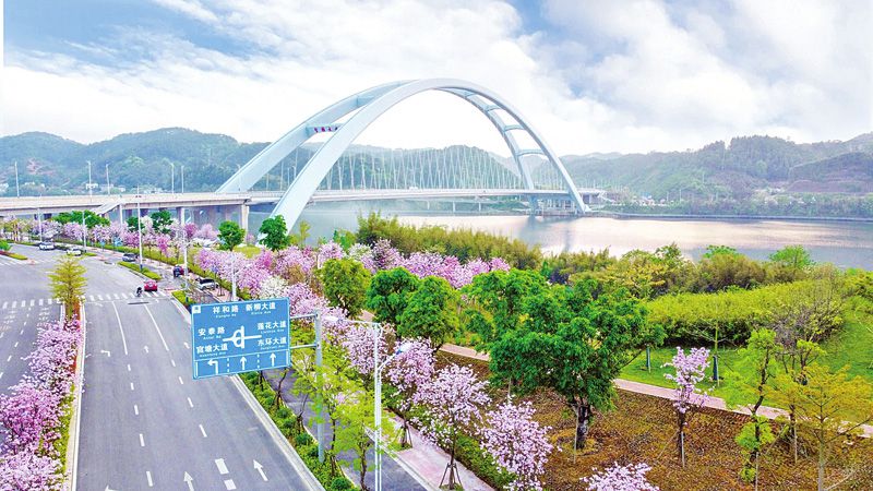 1651126992123901.jpg 22.jpg