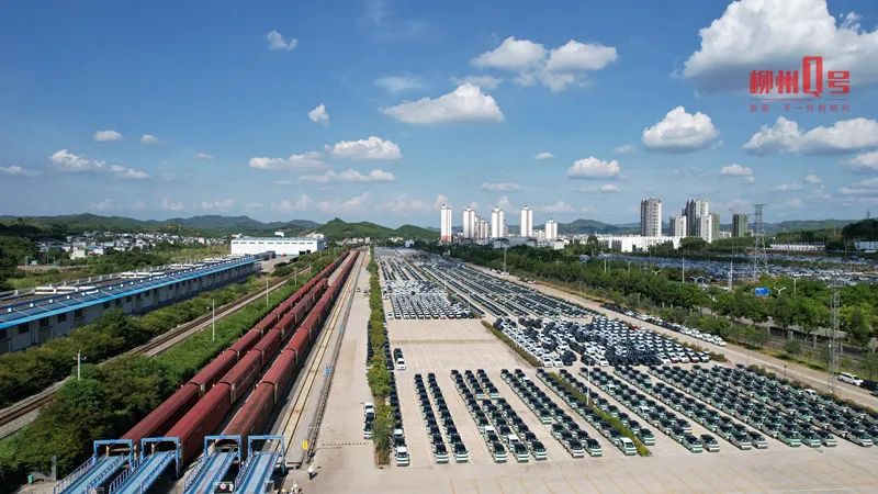 1669046568719921.jpg 42.jpg