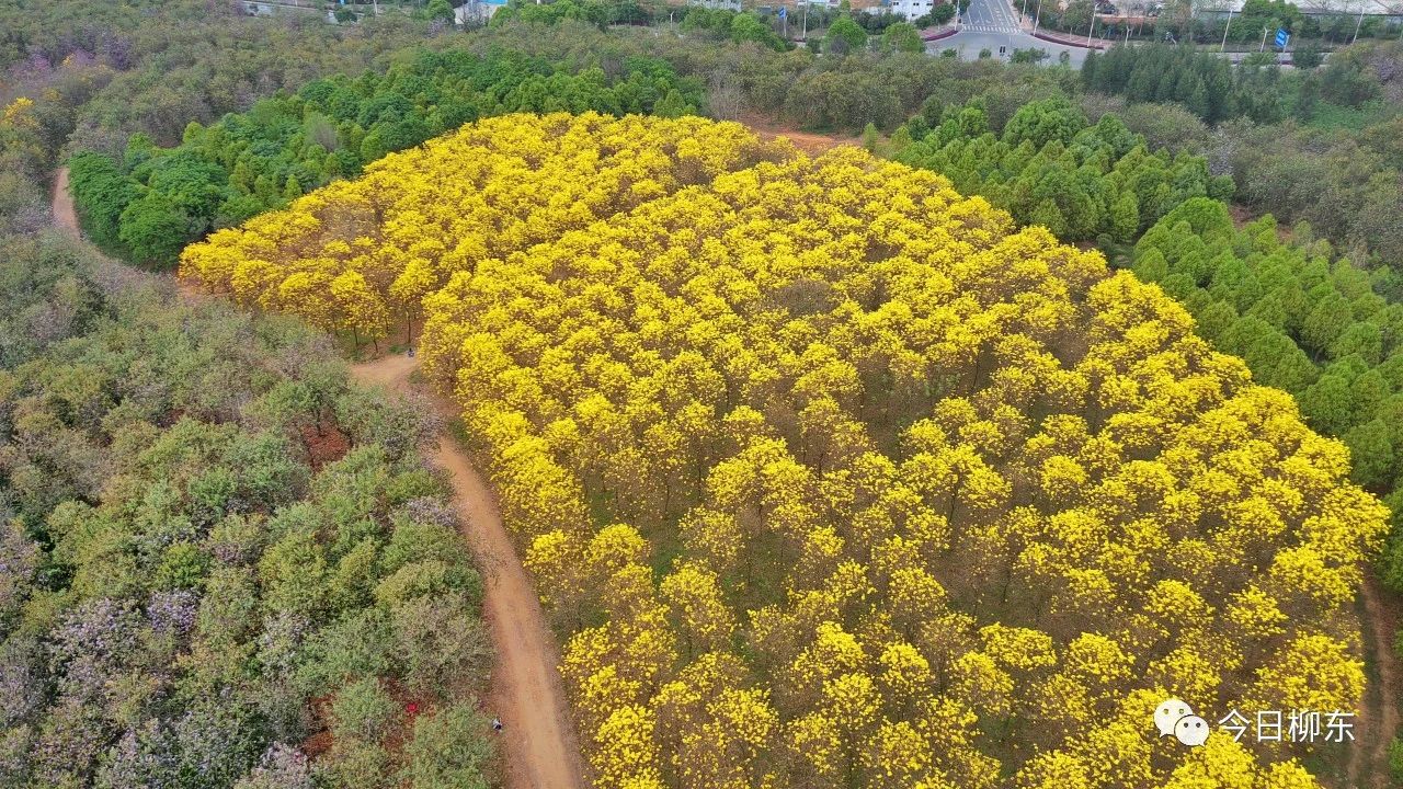 1679293692119731.jpg 1679293692119731.jpg