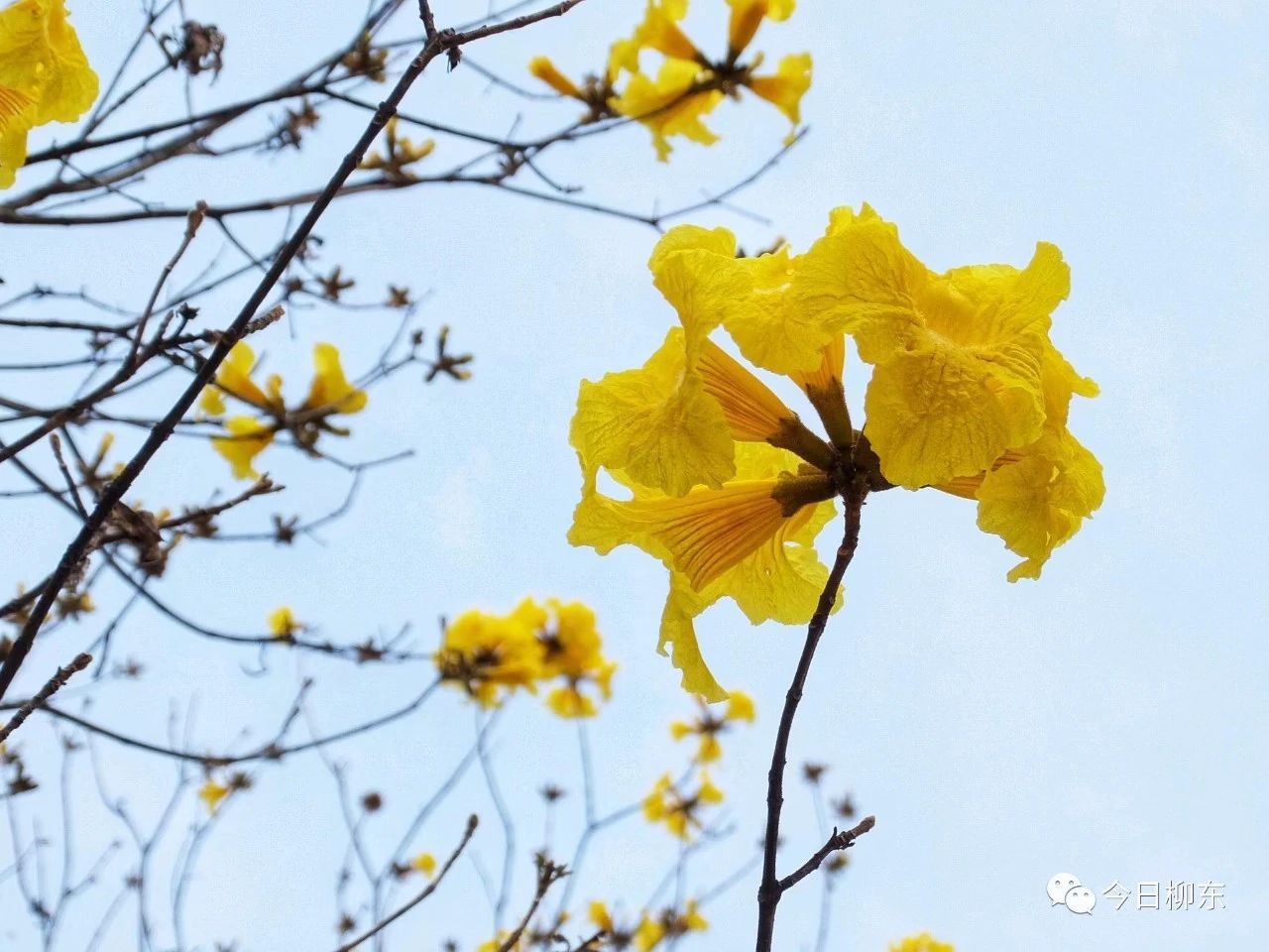 1679293695999628.jpg 1679293695999628.jpg